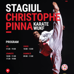 Stagiul de Pregătire de Kumite Competițional cu Christophe Pinna